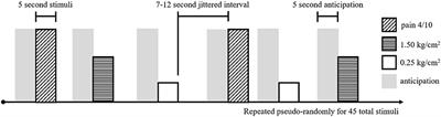 A Pilot Study Examining Neural Response to Pain in Adolescents With and Without Chronic Pain